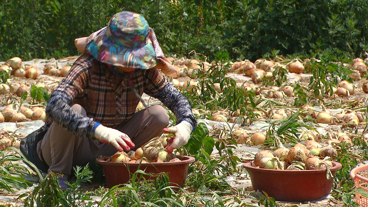 50년새 전북 농·어업인구 90% 급감