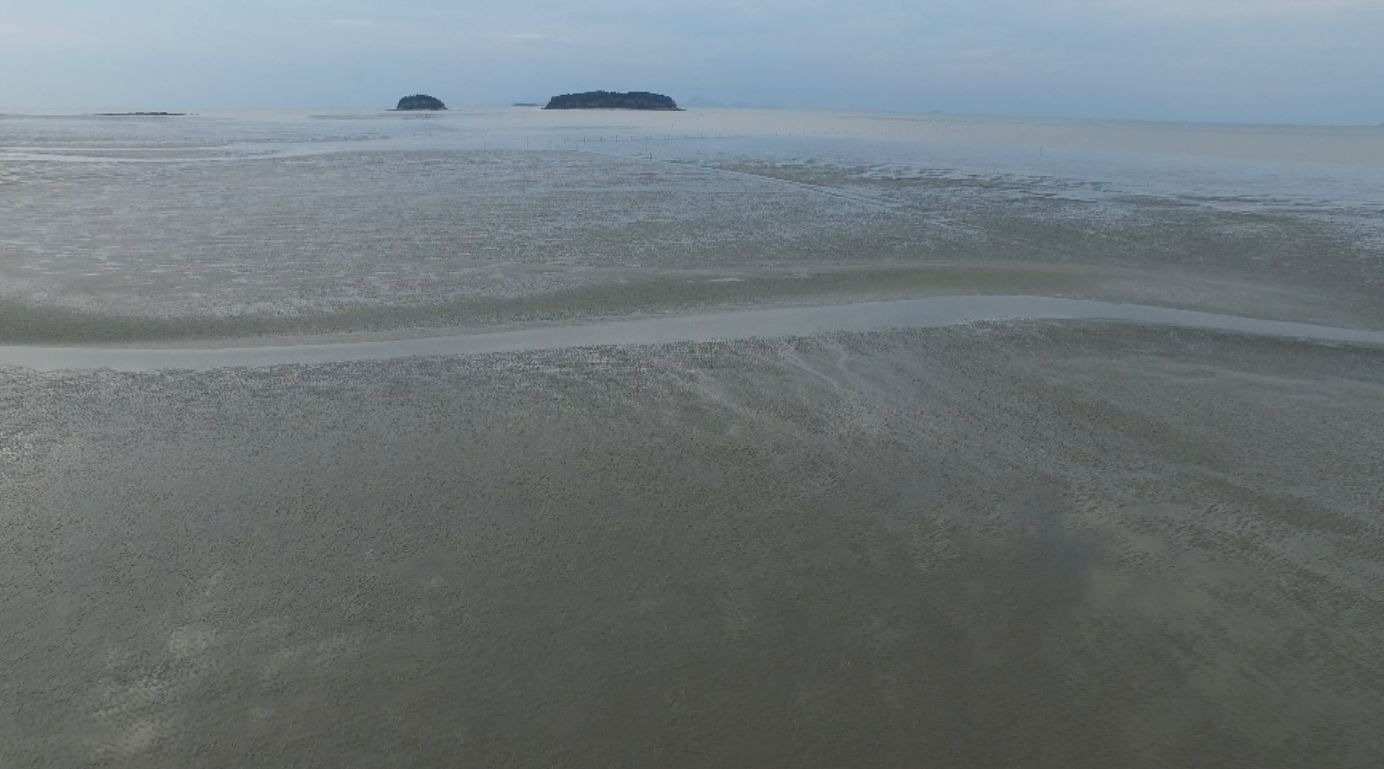 갑자기 평가 기준 변경... 