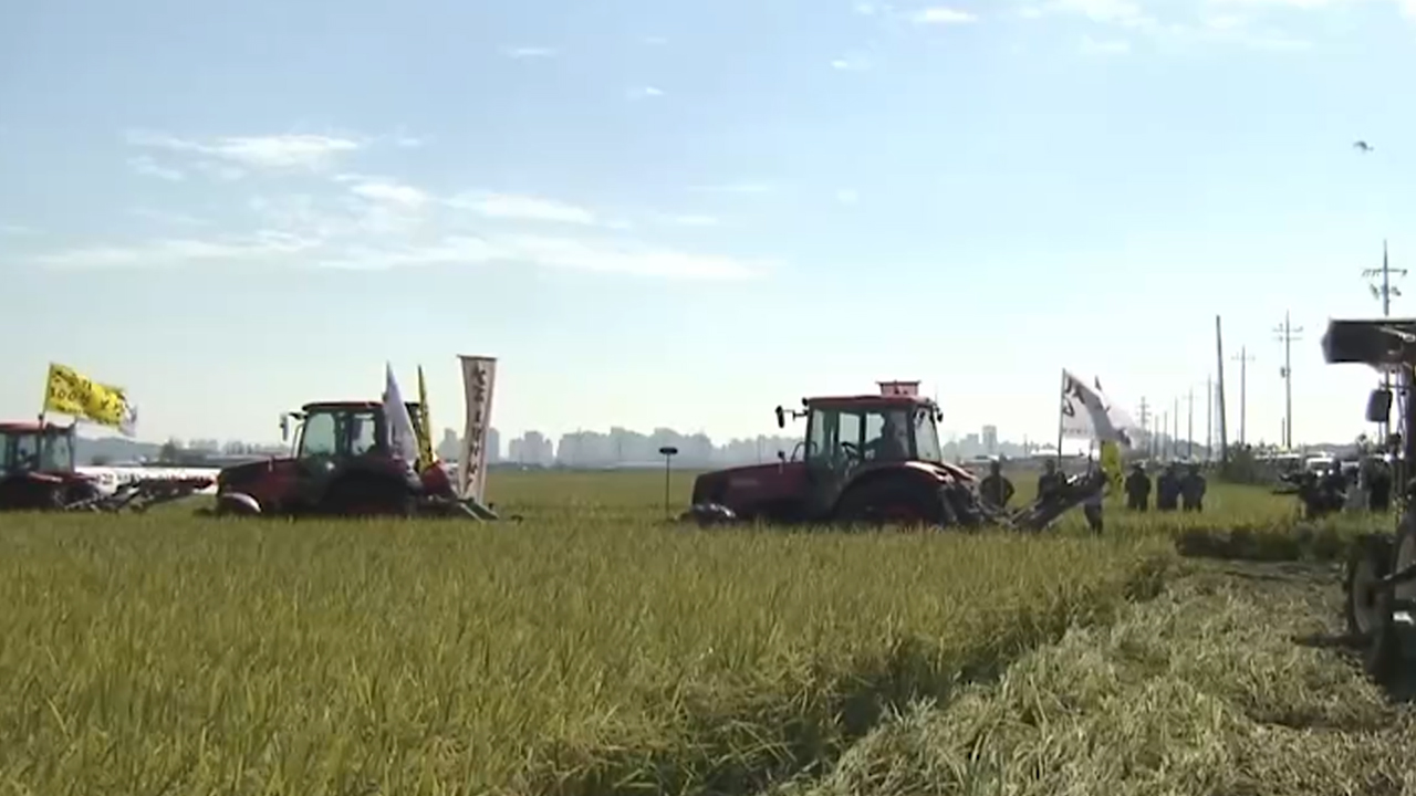 논 갈아엎는 농민들.. 