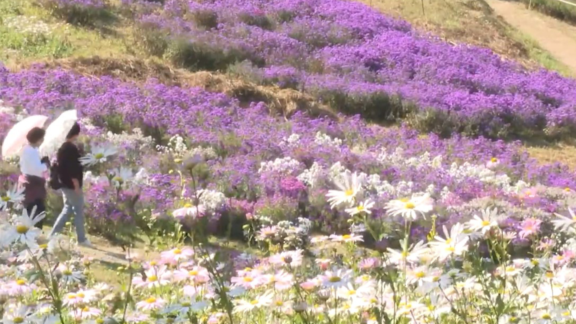 지역 소식 (익산·완주·군산·정읍)