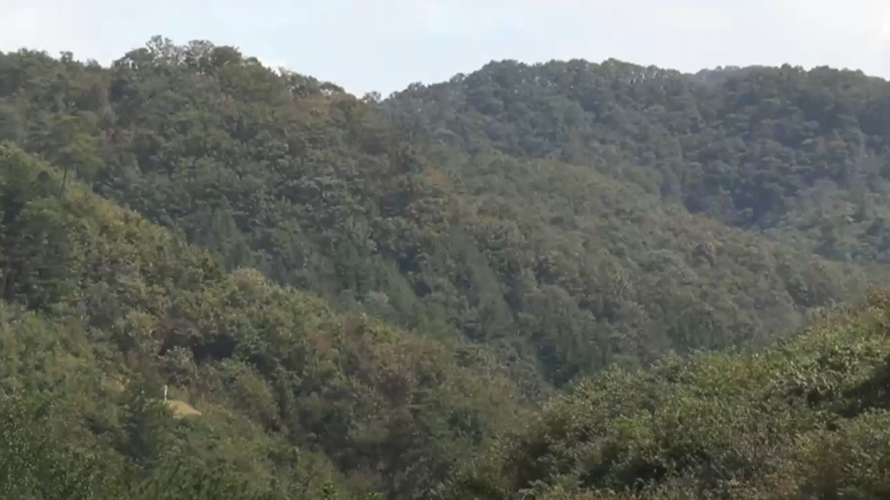 웅치전적지, 국가지정문화재 사적 지정 예고