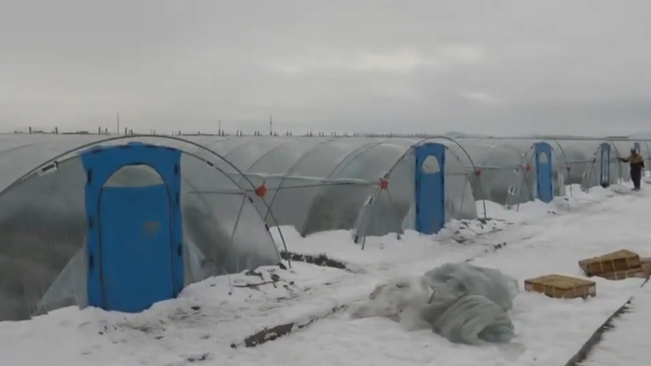 올 겨울 춥고 눈 많아.. 