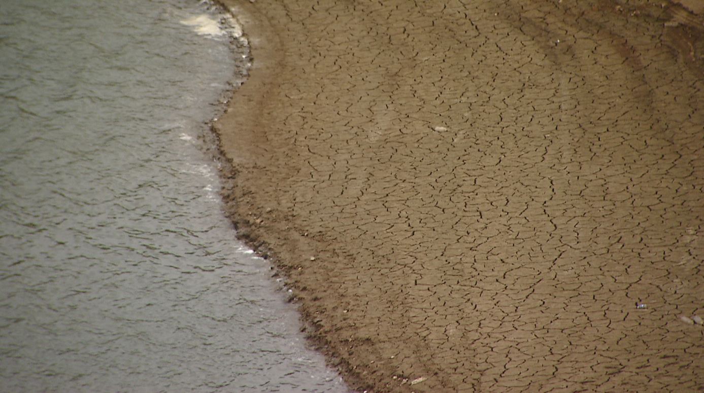 가을 가뭄 길어져..  양파·마늘 생육 부진 관측