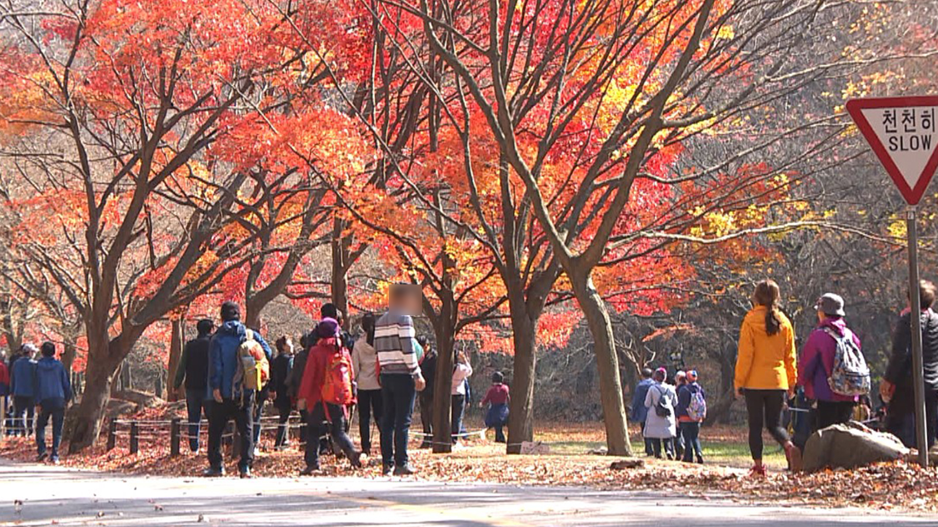 단풍철 전북도내 유명 산 안전 집중 점검