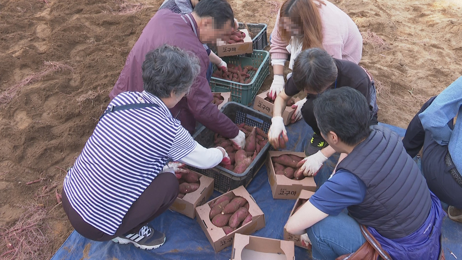 '농촌에서 살아보기' 귀농에 효과적..체험자 12% 농촌 전입