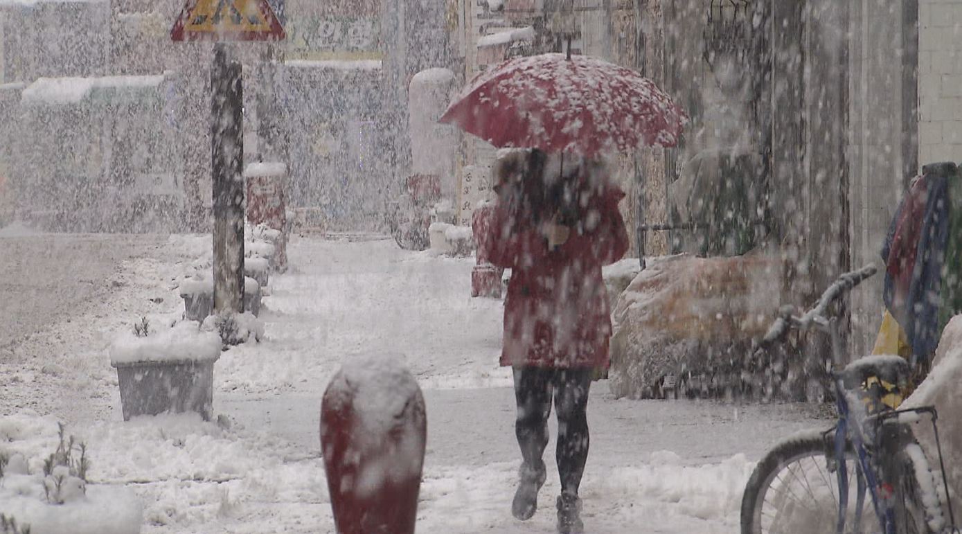 군산 산단 11.7cm 눈.. 서해안 등 대설경보에 영하권 한파까지