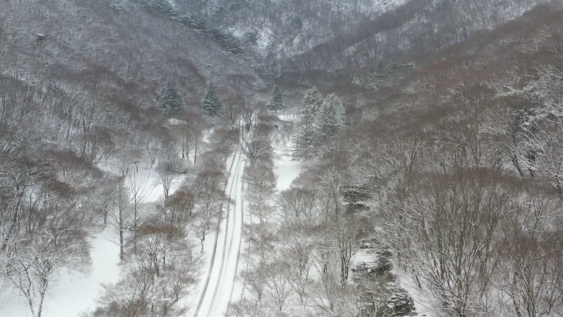 전북지역, 내일 새벽부터 토요일까지 10~30cm 눈 예보