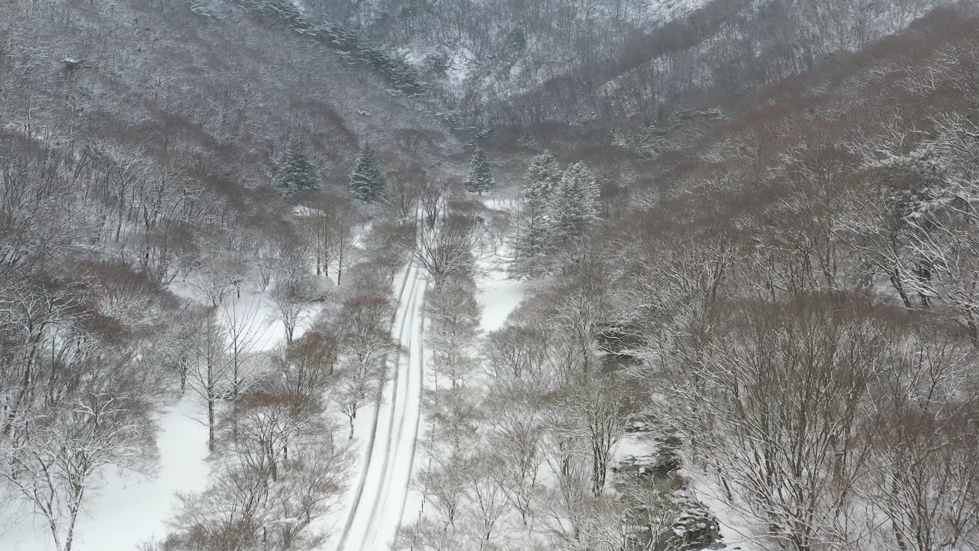 전북 모레까지 최대 25cm 이상 눈.. 영하권 안팎 추위도 이어져