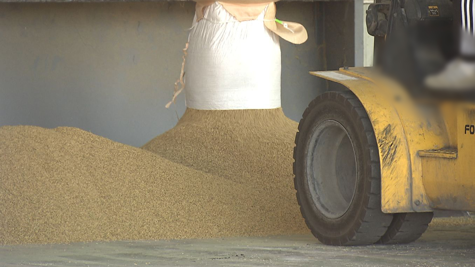 수확기 쌀 값 하락.. 농가소득 크게 줄어