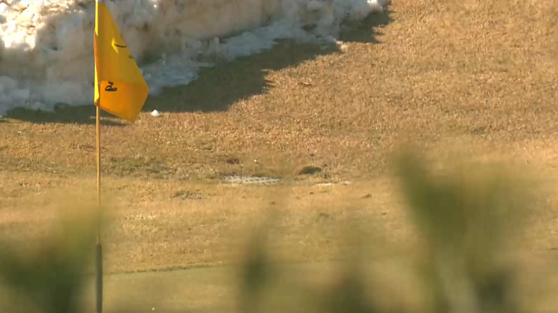 멸종위기종 숨겼나.. 골프장 확장 공사 논란