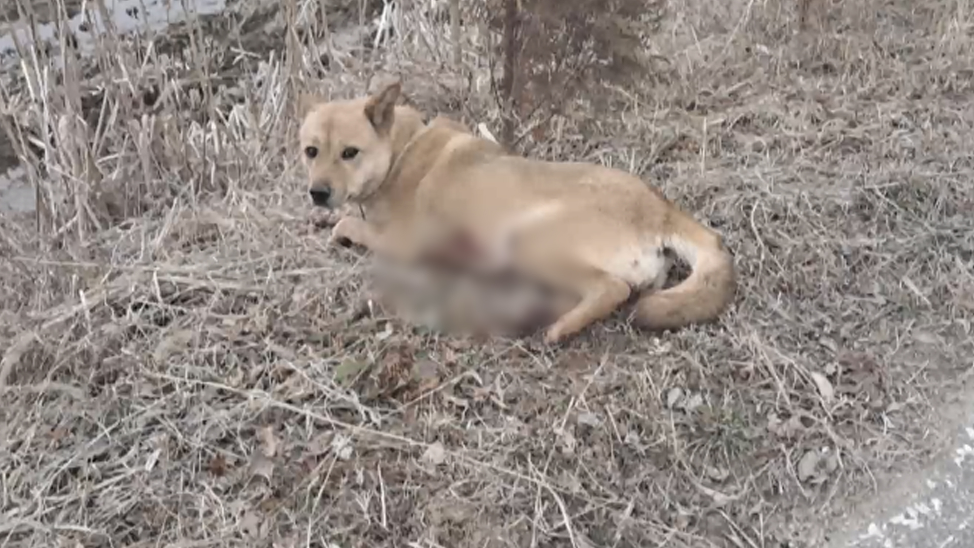 오토바이에 
