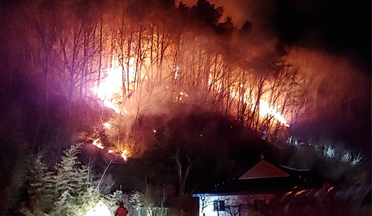 '낙엽 태우다' 진안 산불