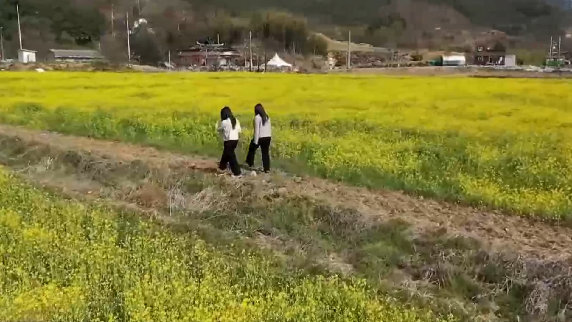 지역 소식 (임실·진안·장수·순창)