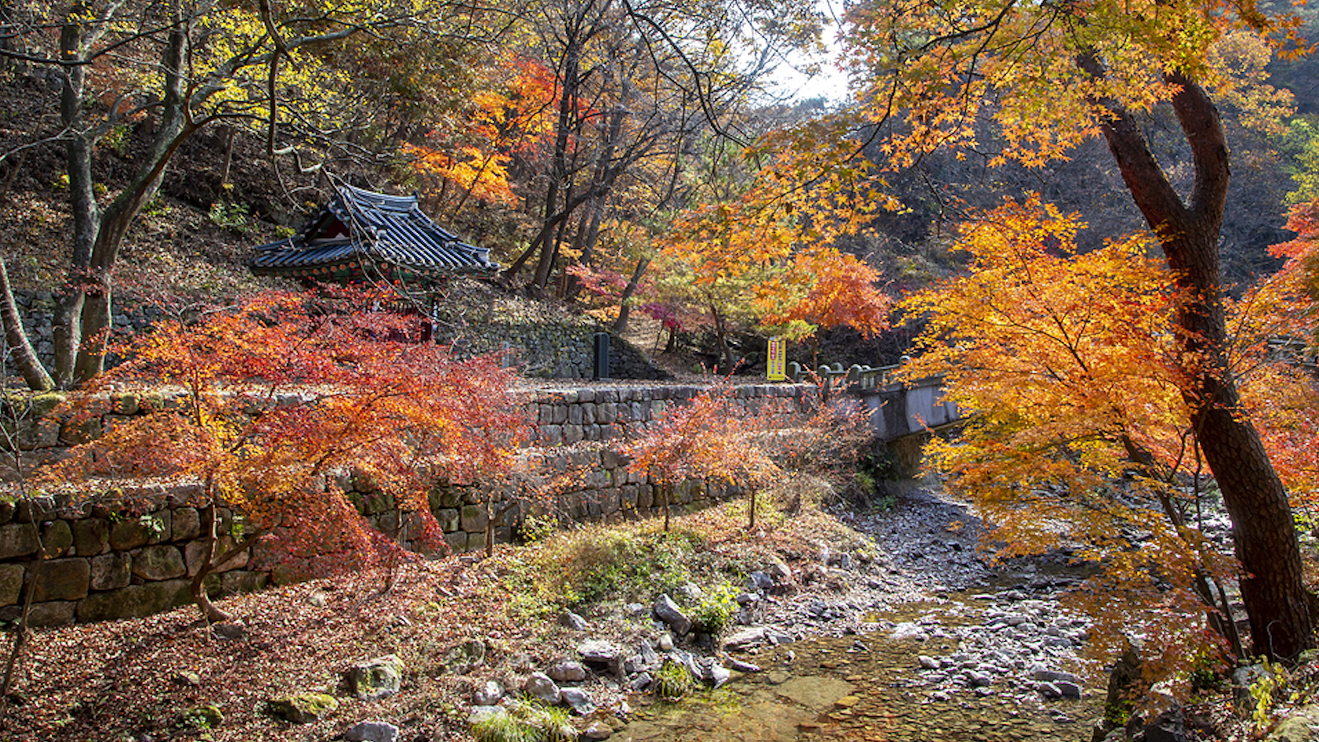 지역소식 (순창·임실·군산·장수)