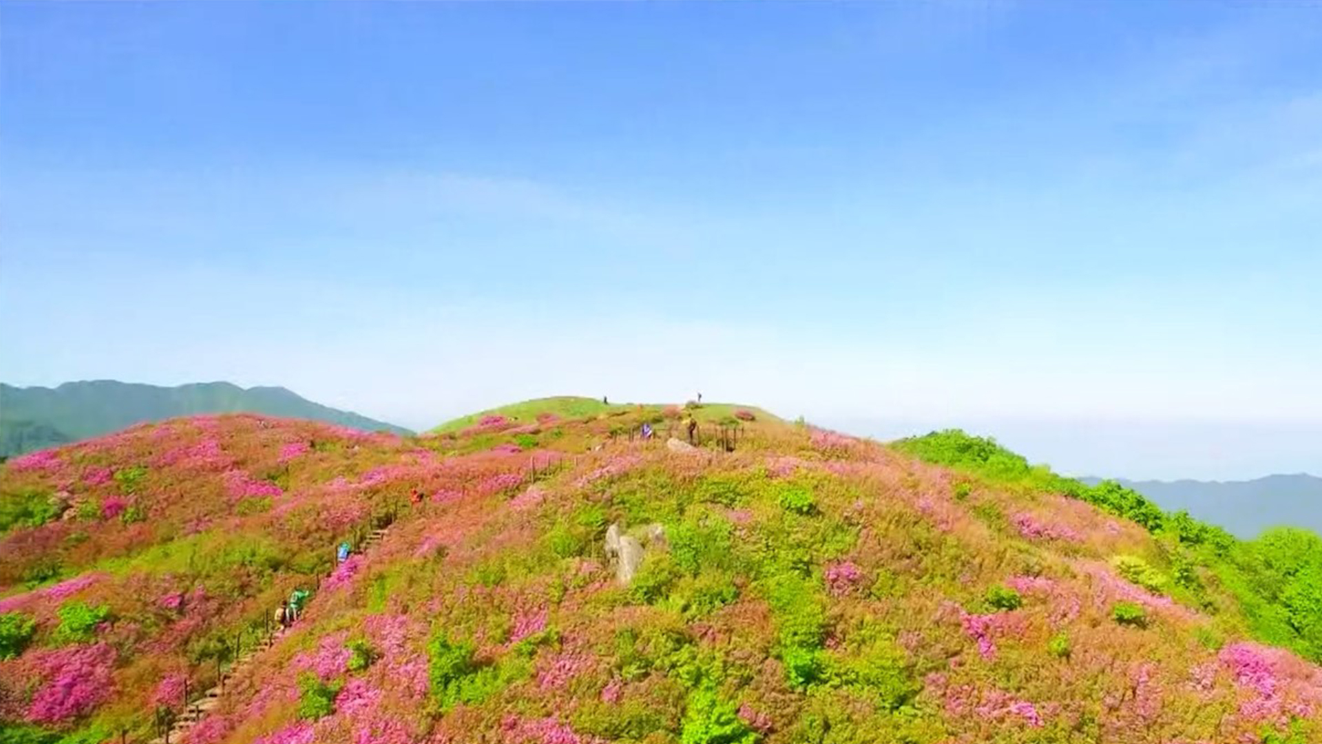 [글로컬 전북] 지역 소식 (남원·임실·완주)