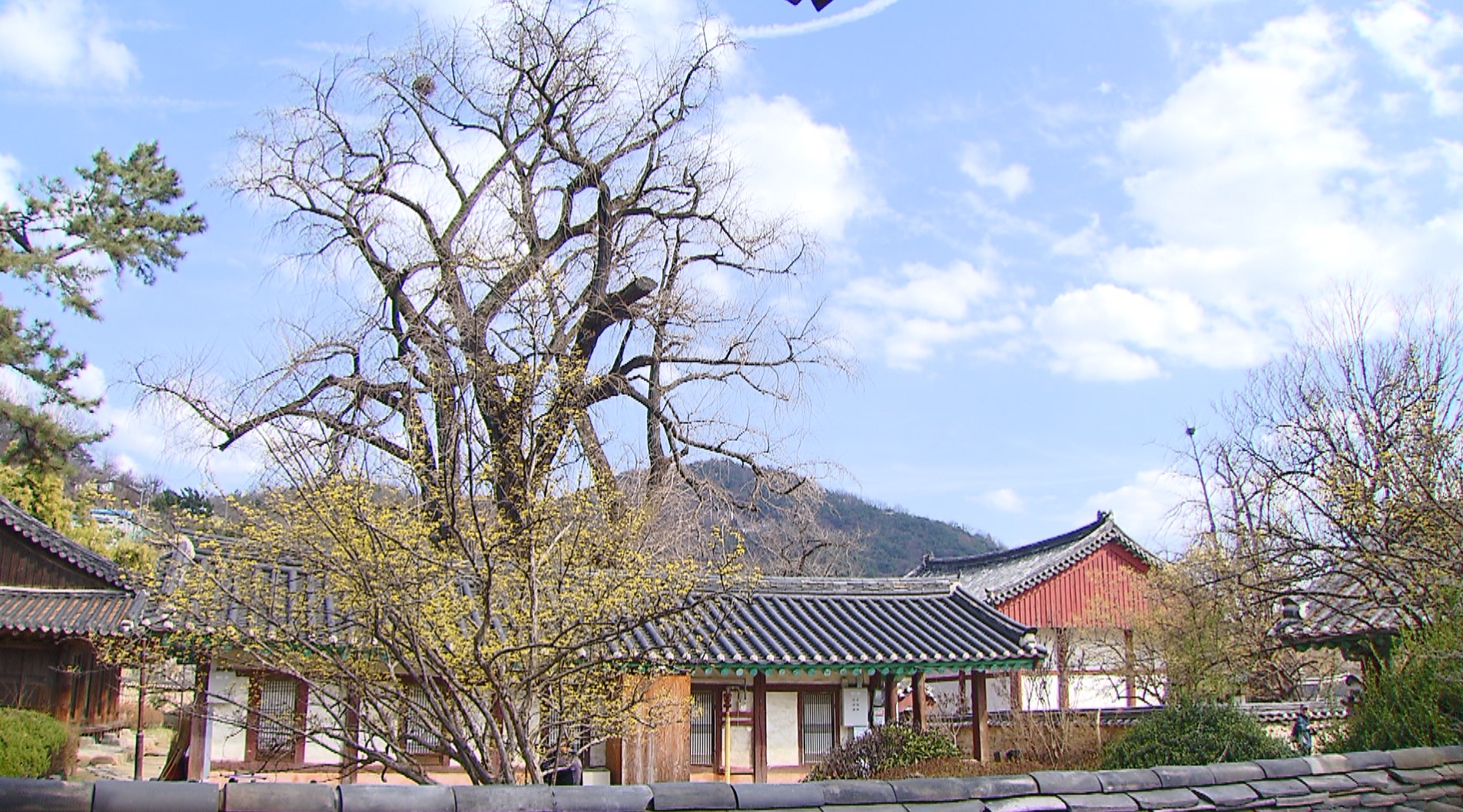 [전북날씨] 포근한 가운데 일교차 커..낮 기온 18도~23도