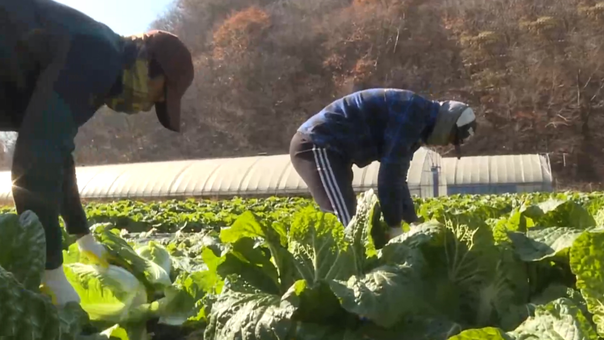 지역 소식 (임실·김제·익산)