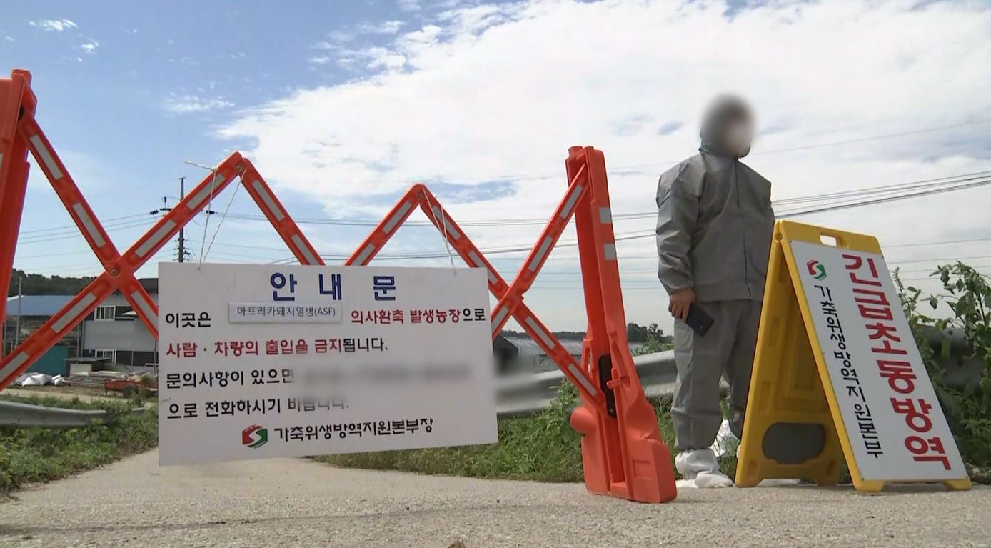 아프리카돼지열병 차단방역 강화.. 