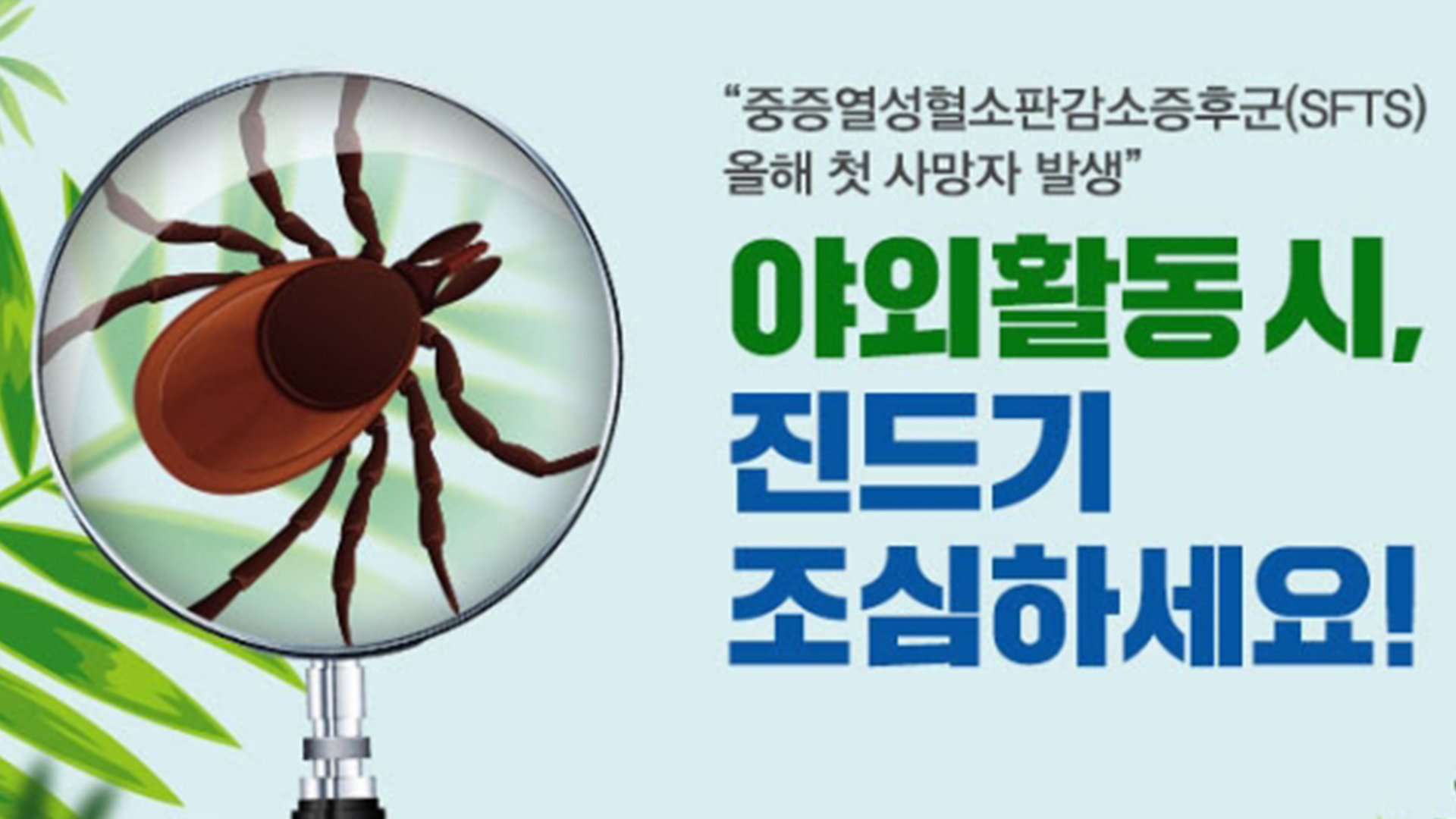 치료제·백신 없는 '살인 진드기' 올해도 발생.. 