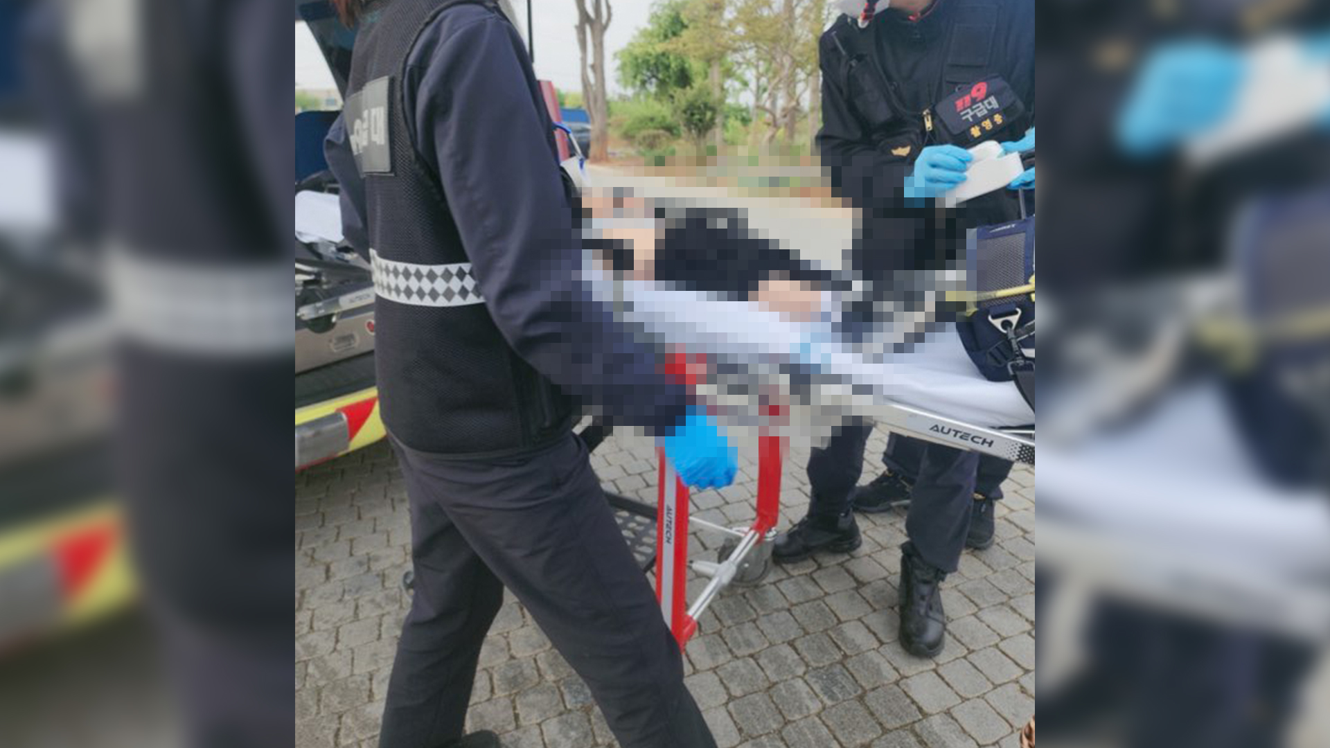 운동장에서 놀던 초등학생..입마개 안 한 개에 물려 중상