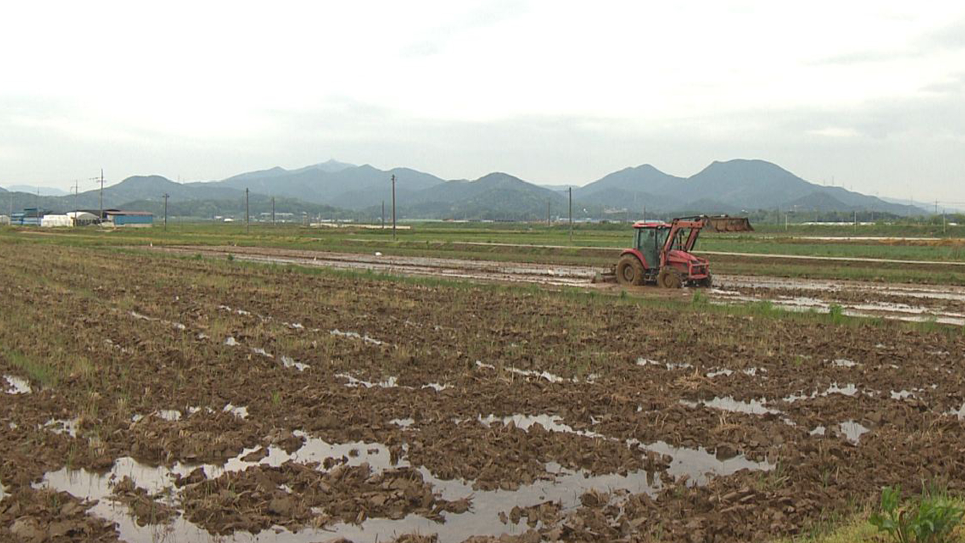 모내기 앞두고 150mm '단비'..일부 피해도