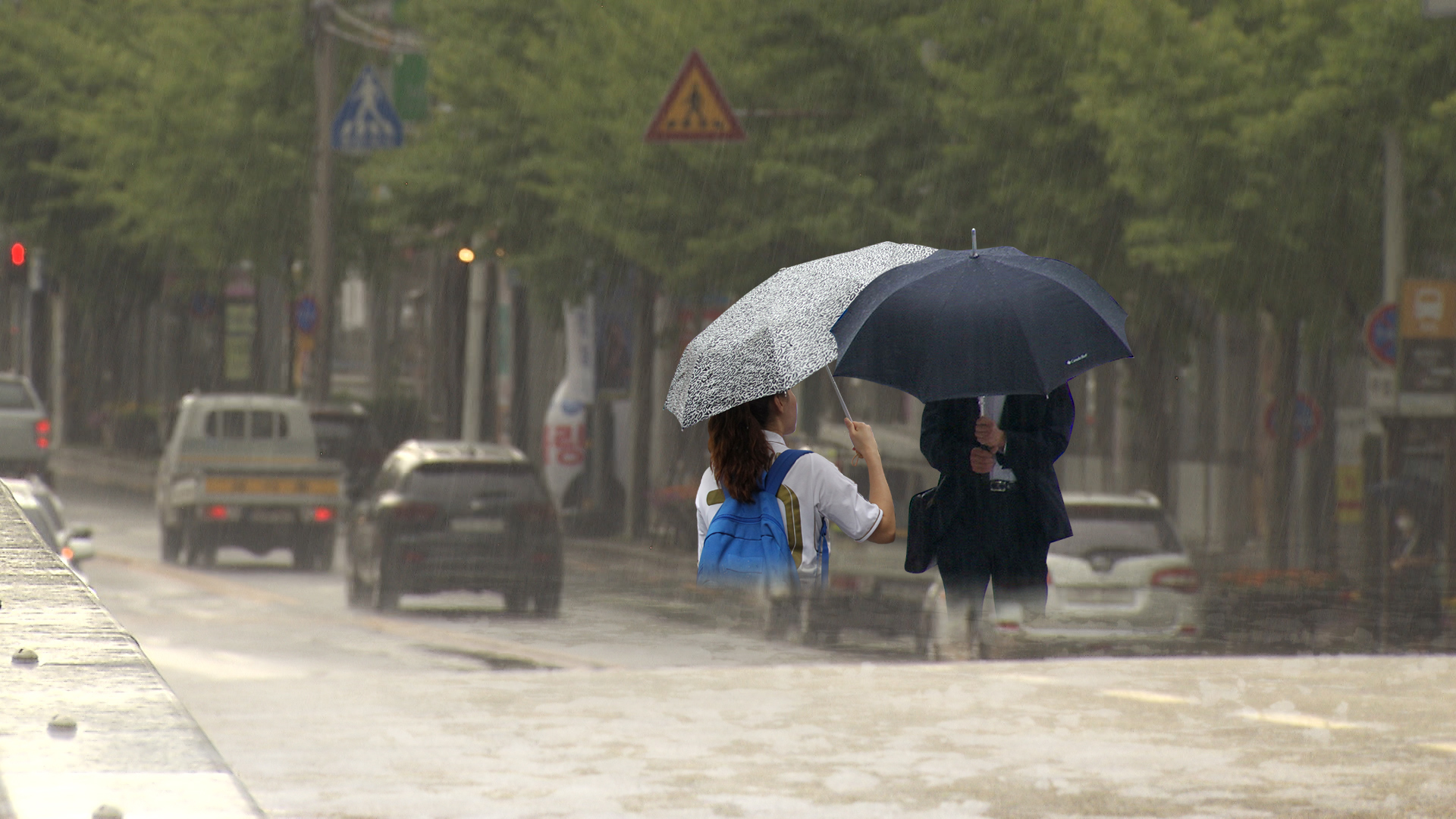 본격적인 장마 시작..