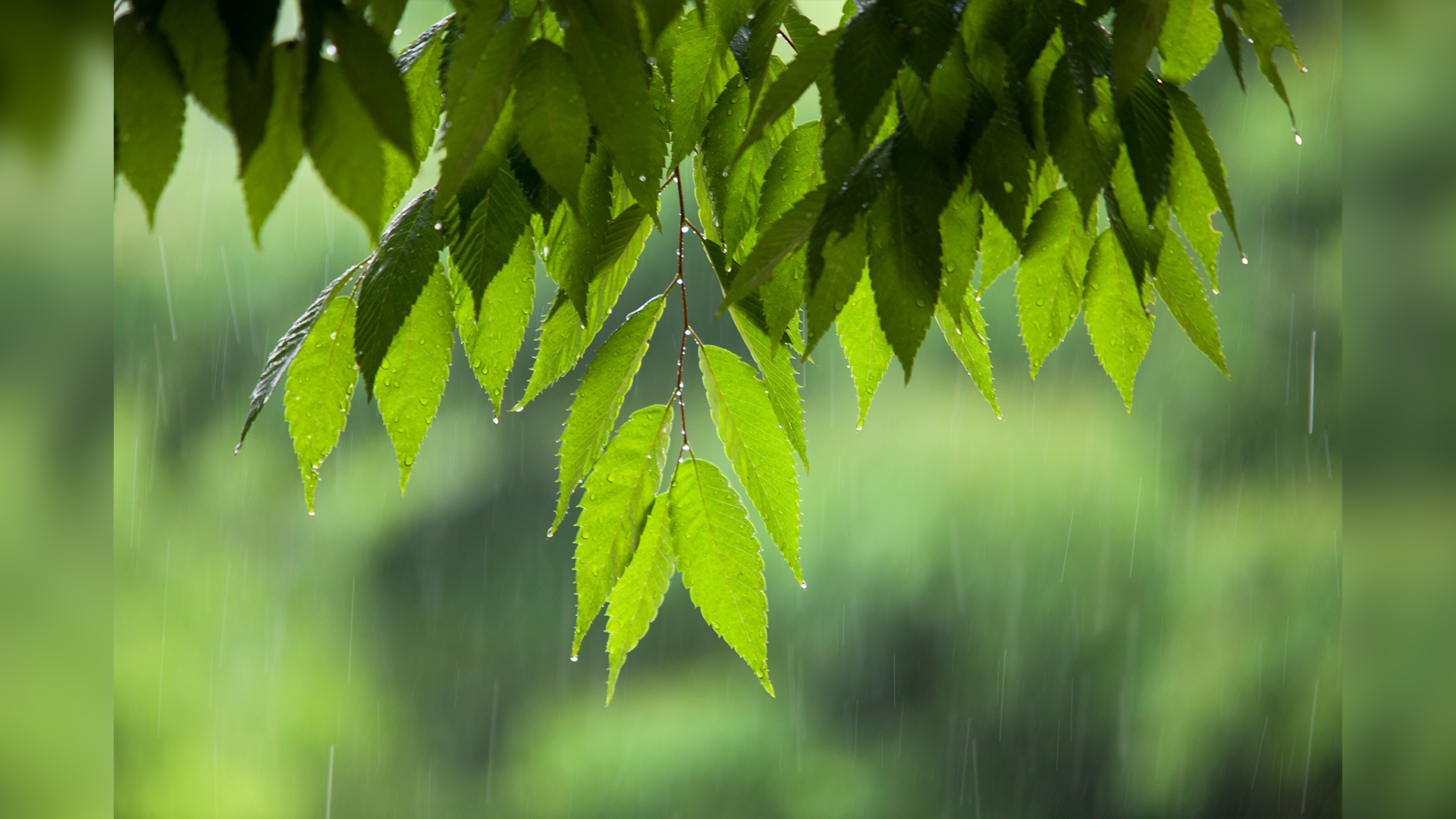 [전북날씨] 오후까지 동부 5~20mm 소나기..낮 기온 25~28도
