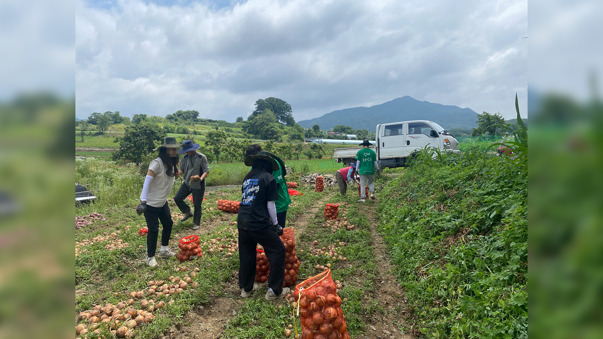전북대생 130여 명, 남원지역에서 농촌봉사활동