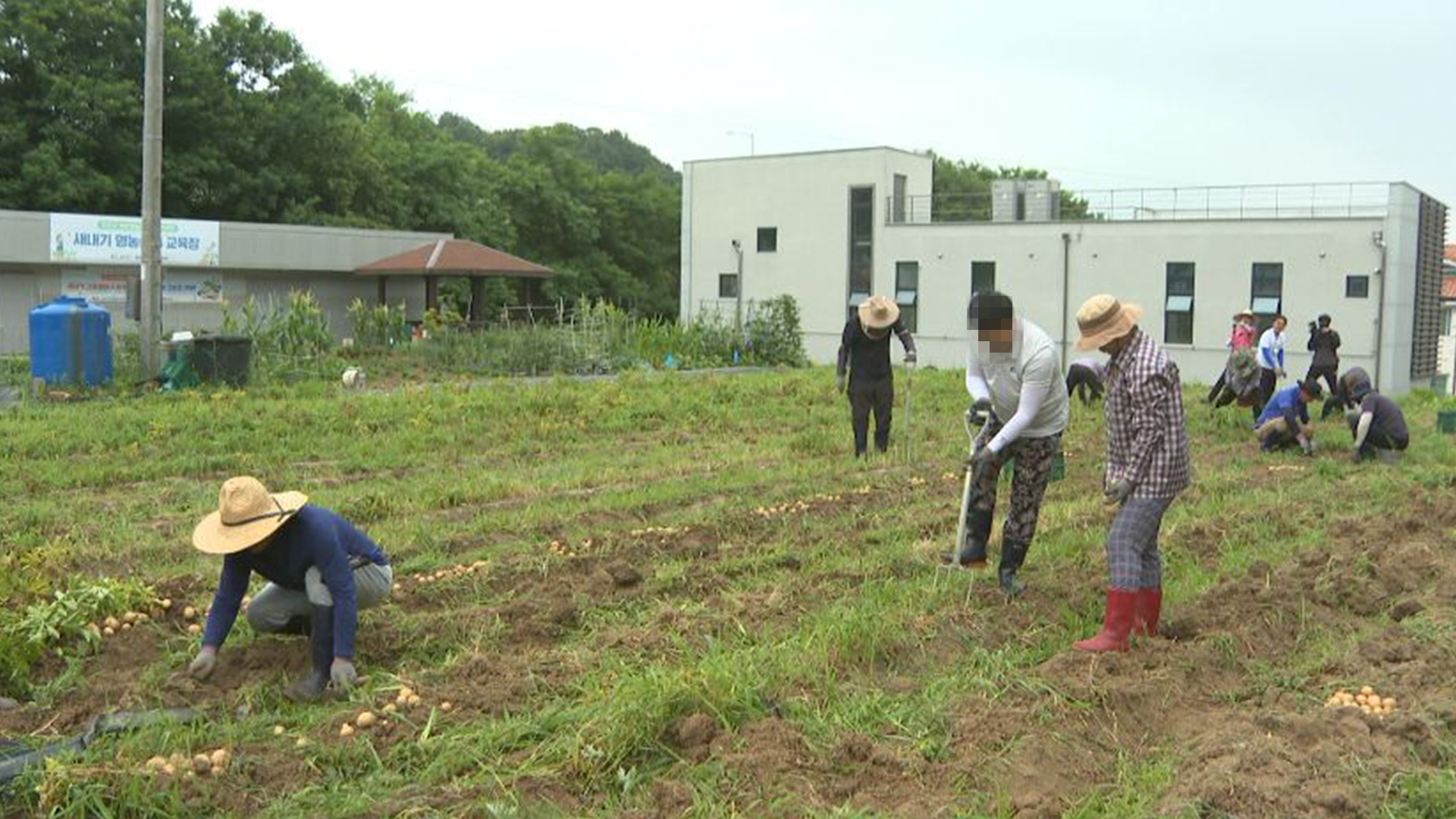 완주서 귀농귀촌 배우는 입교생, 수확한 감자 기부