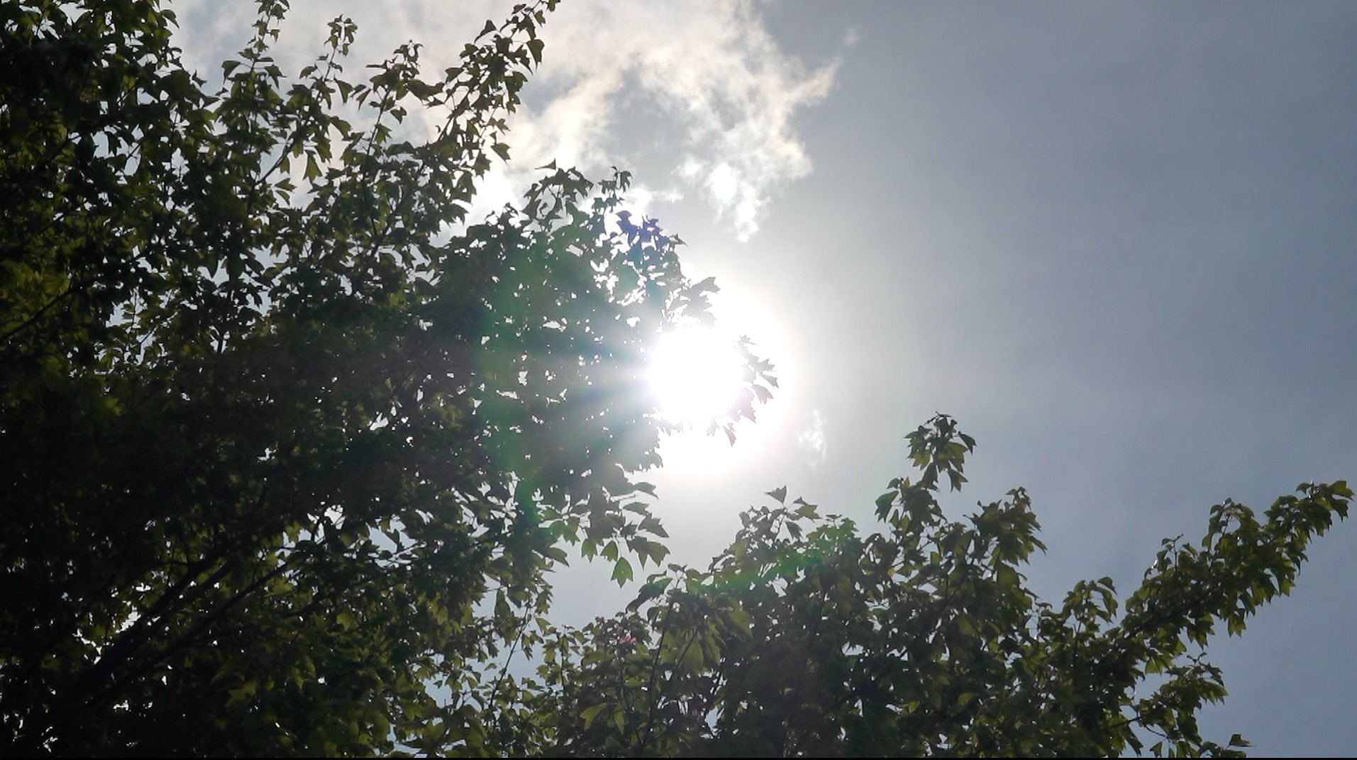 대체로 맑고 무더위 계속..낮 최고기온 34도