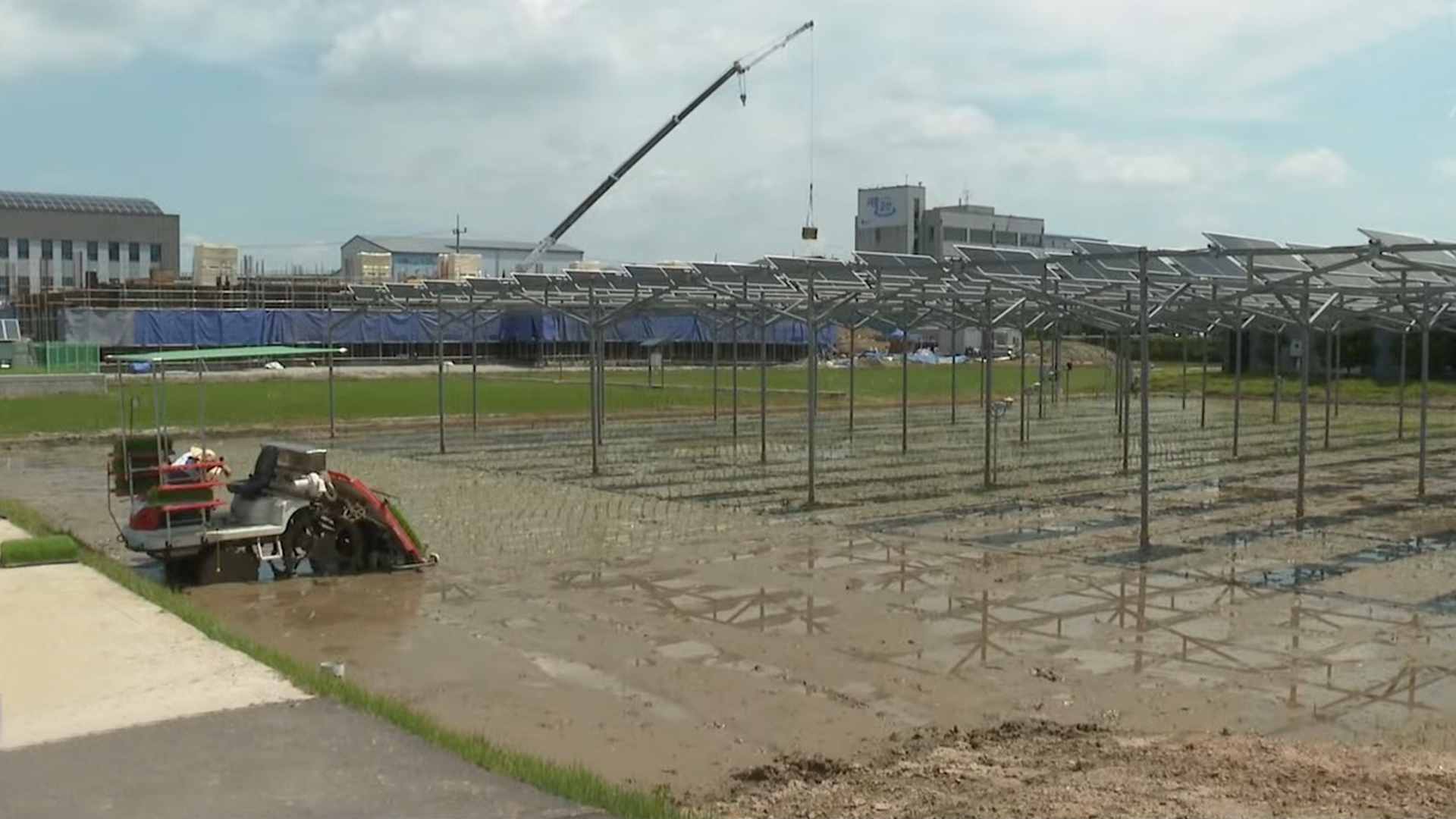 [글로컬 전북] 지역 소식 (군산·김제·임실·남원)