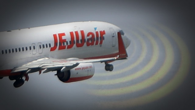 9㎞ 상공서 여객기 비상문 개방 시도한 10대 ‘구속영장’