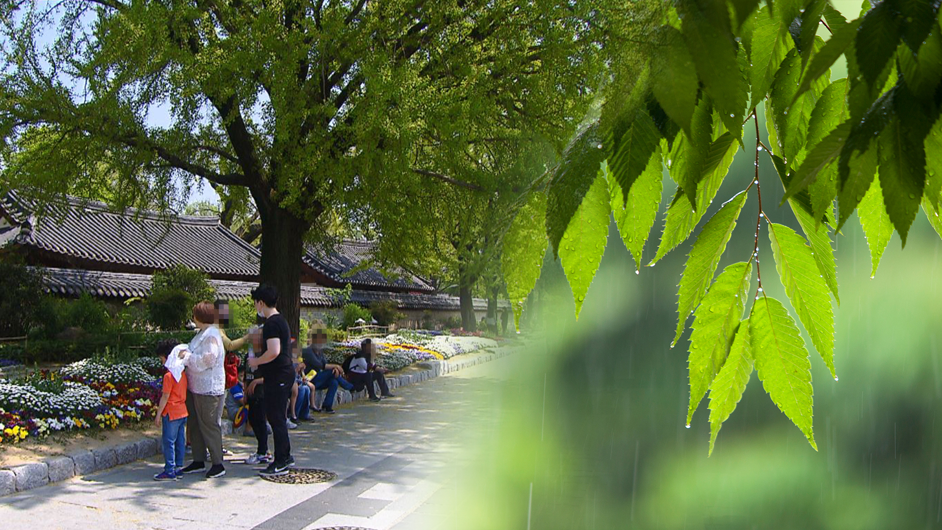 [전북날씨] 30도 안팎 더위 속 소나기.. 내일부터 선선해져