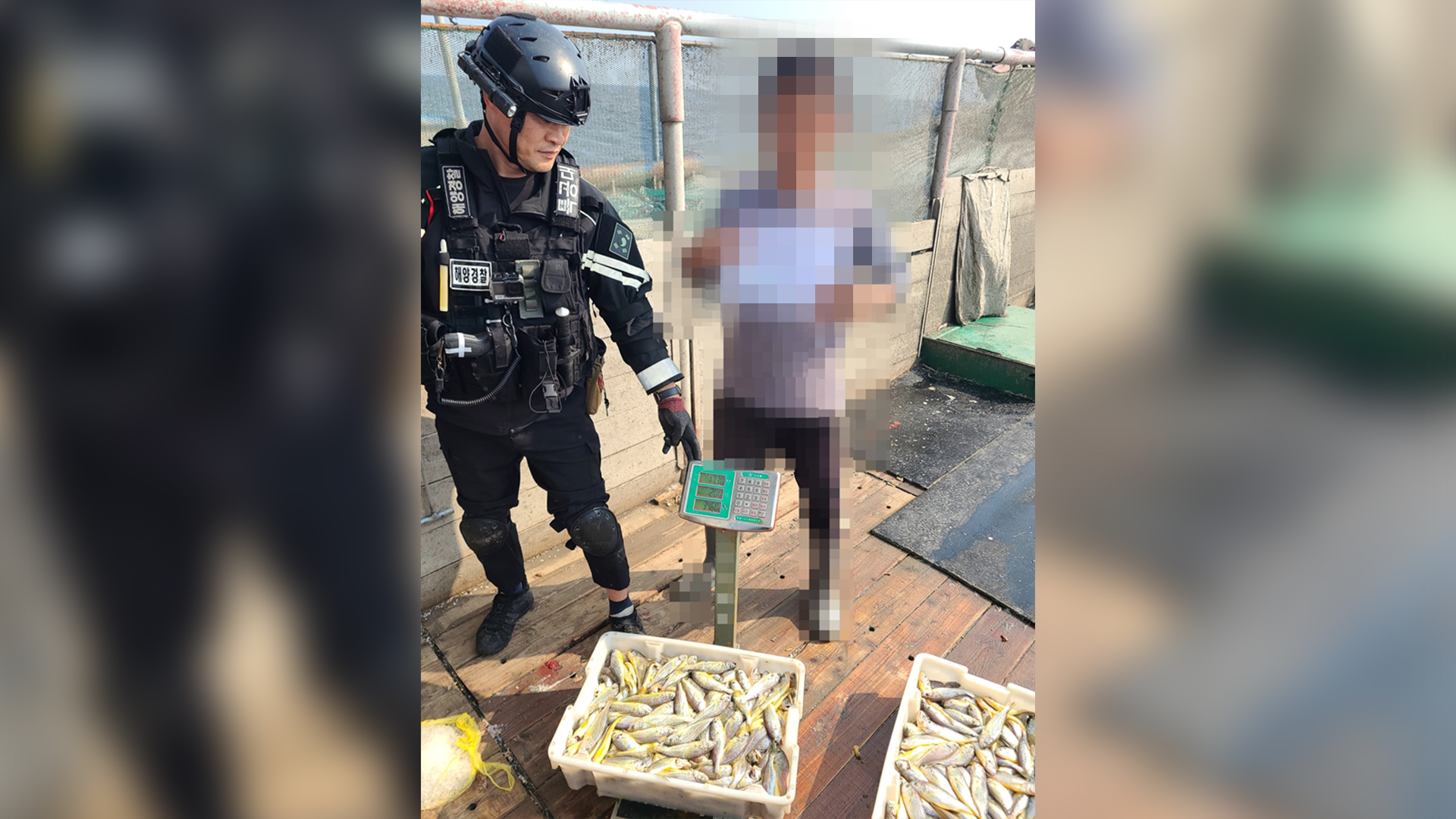 조업량 허위 기재한 중국 어선 3척 나포