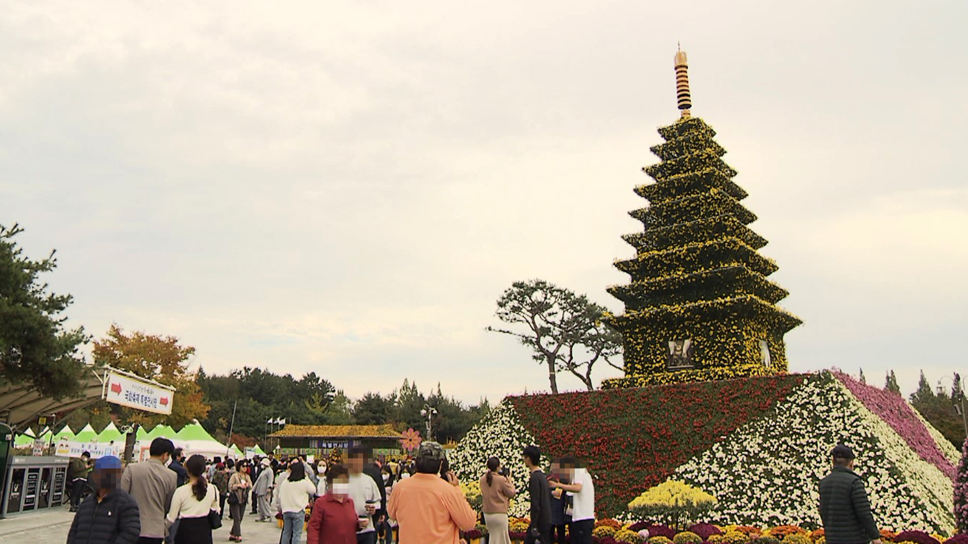 익산국화축제·도시박람회 77만 명 다녀가