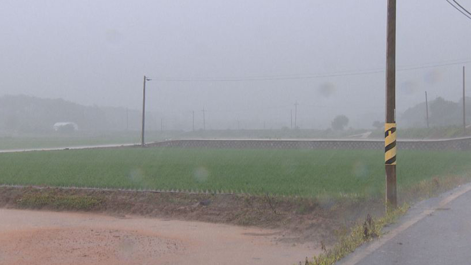 [전북날씨] 시간당 최대 17.5mm.. 돌풍 '낙하물' 주의