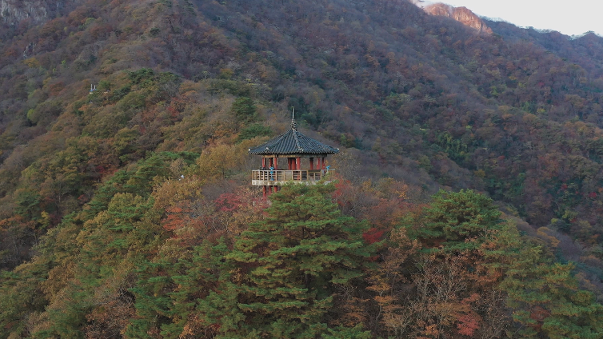 '국립공원공단 서부본부' 전주시에 설립.. 