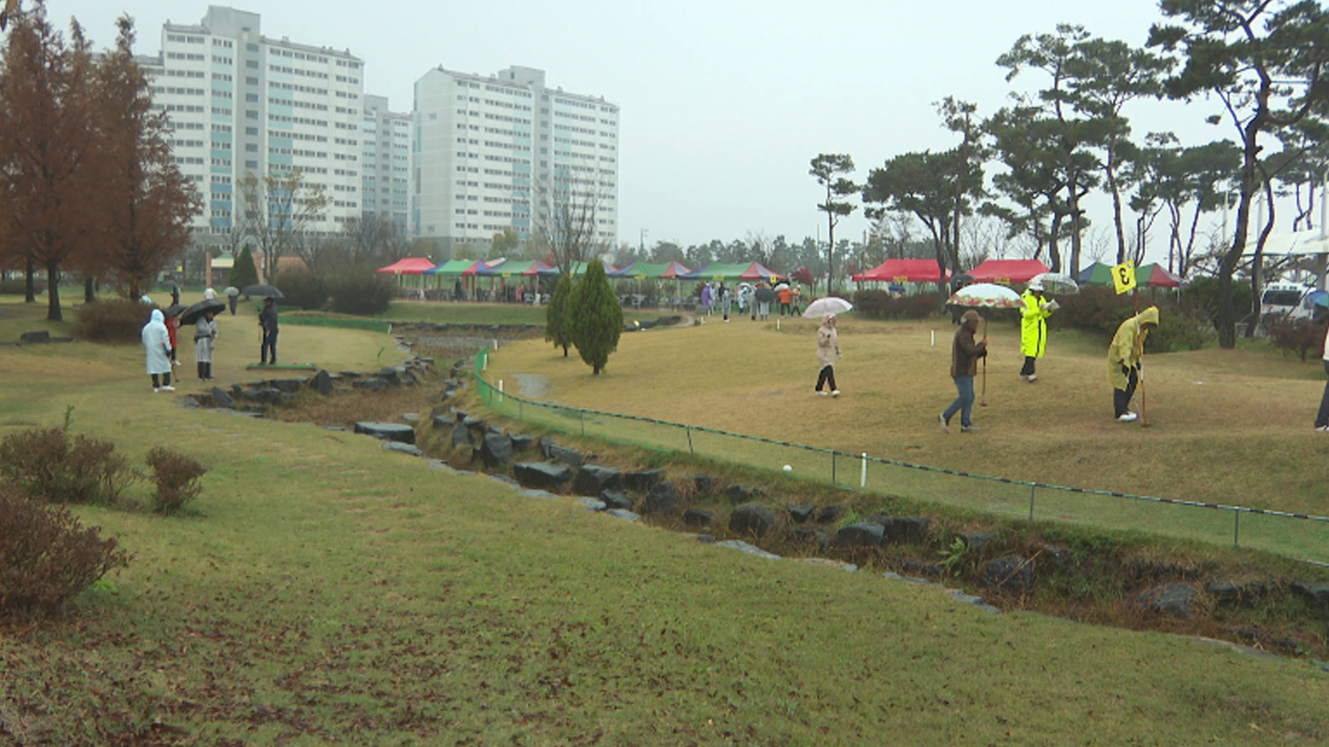 완주전주 상생발전 파크골프대회..800여 명 참가