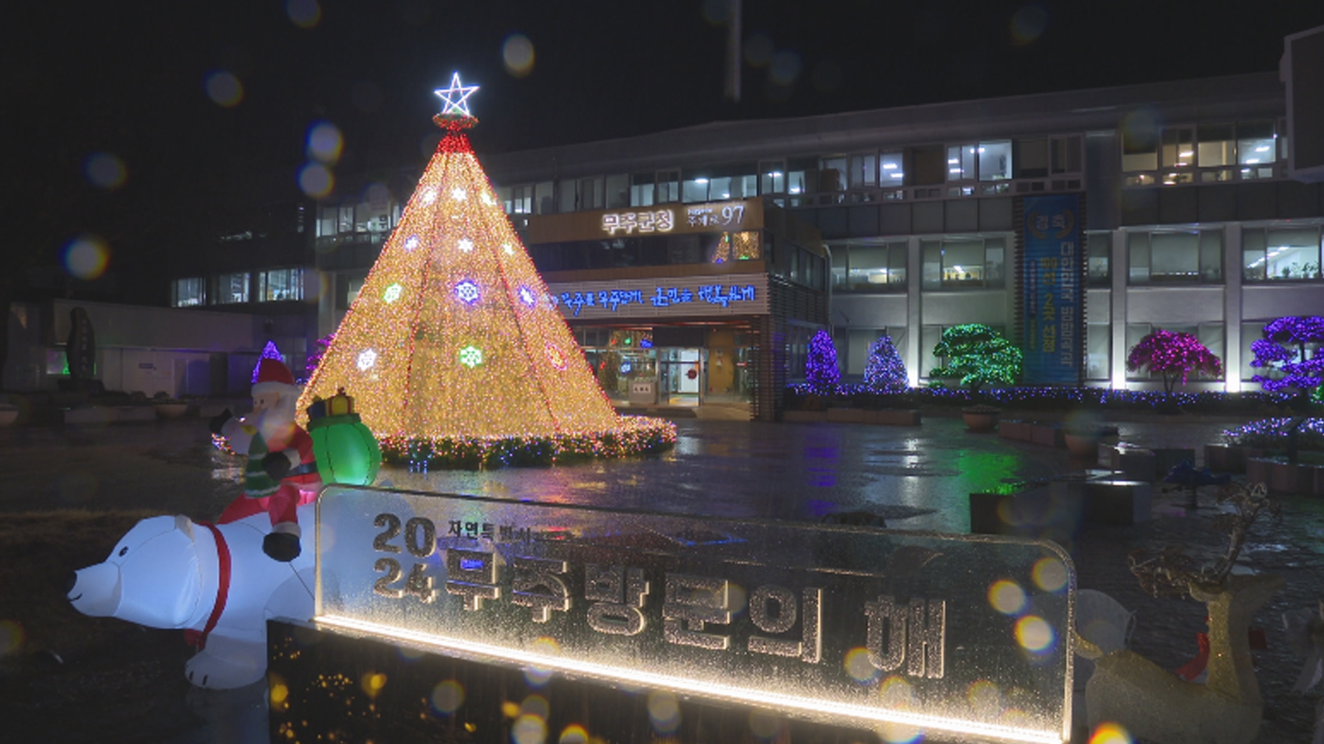 무주군, 군청 분수대 대형 성탄트리 점등