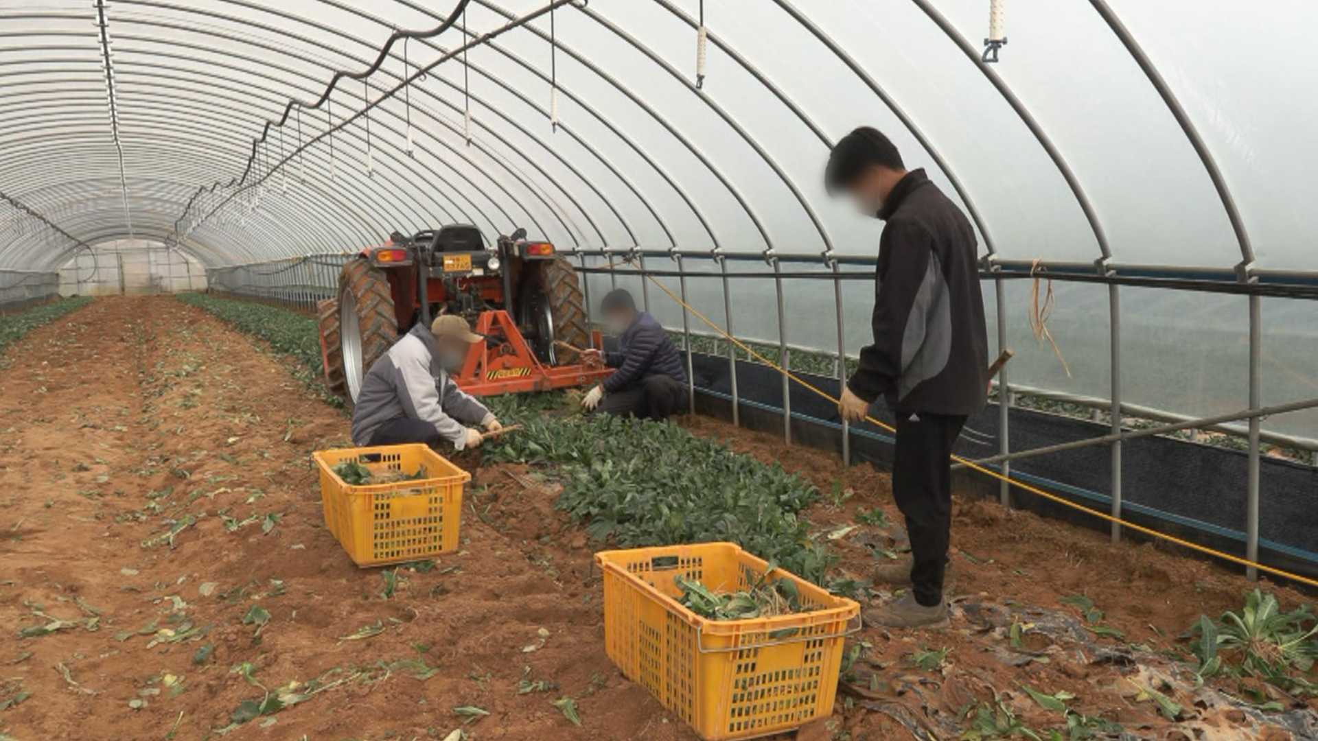순창군, 외국인 계절근로자 기숙사 건립 추진