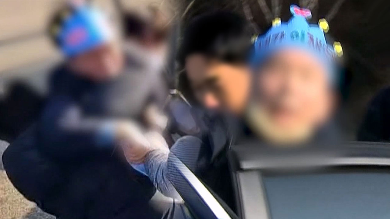 이재명 습격 피의자 