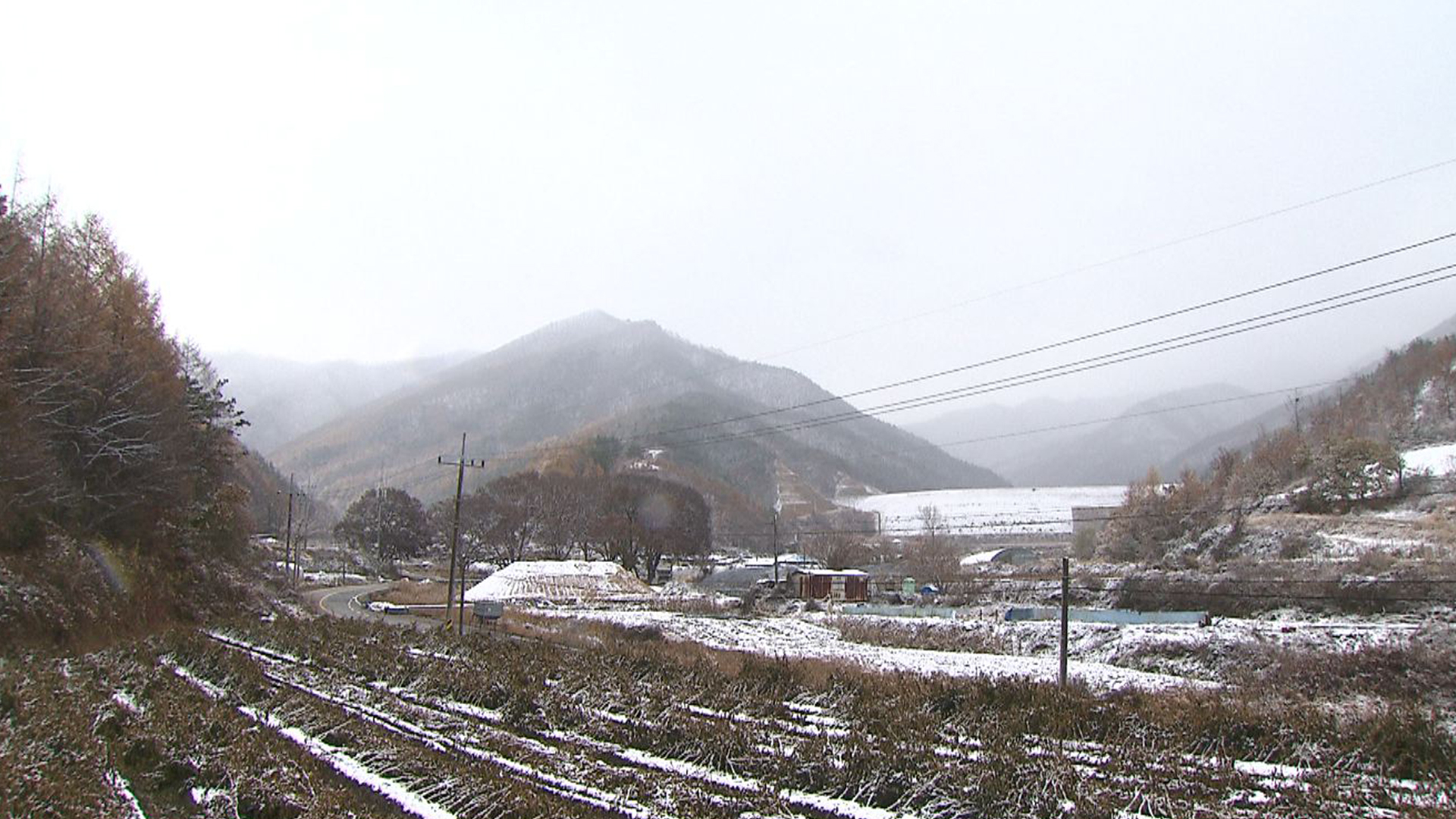 5mm안팎 약한 비.. 동부 산간에는 5cm 눈
