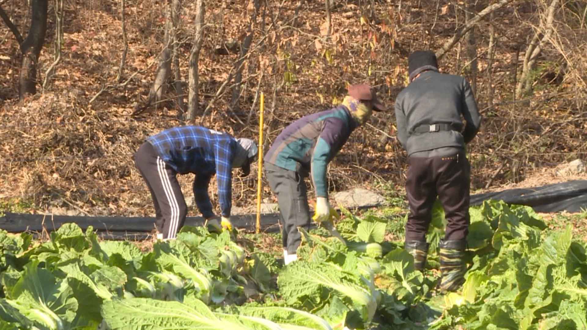 유학생 부모 계절근로자 초청 시범 사업 추진