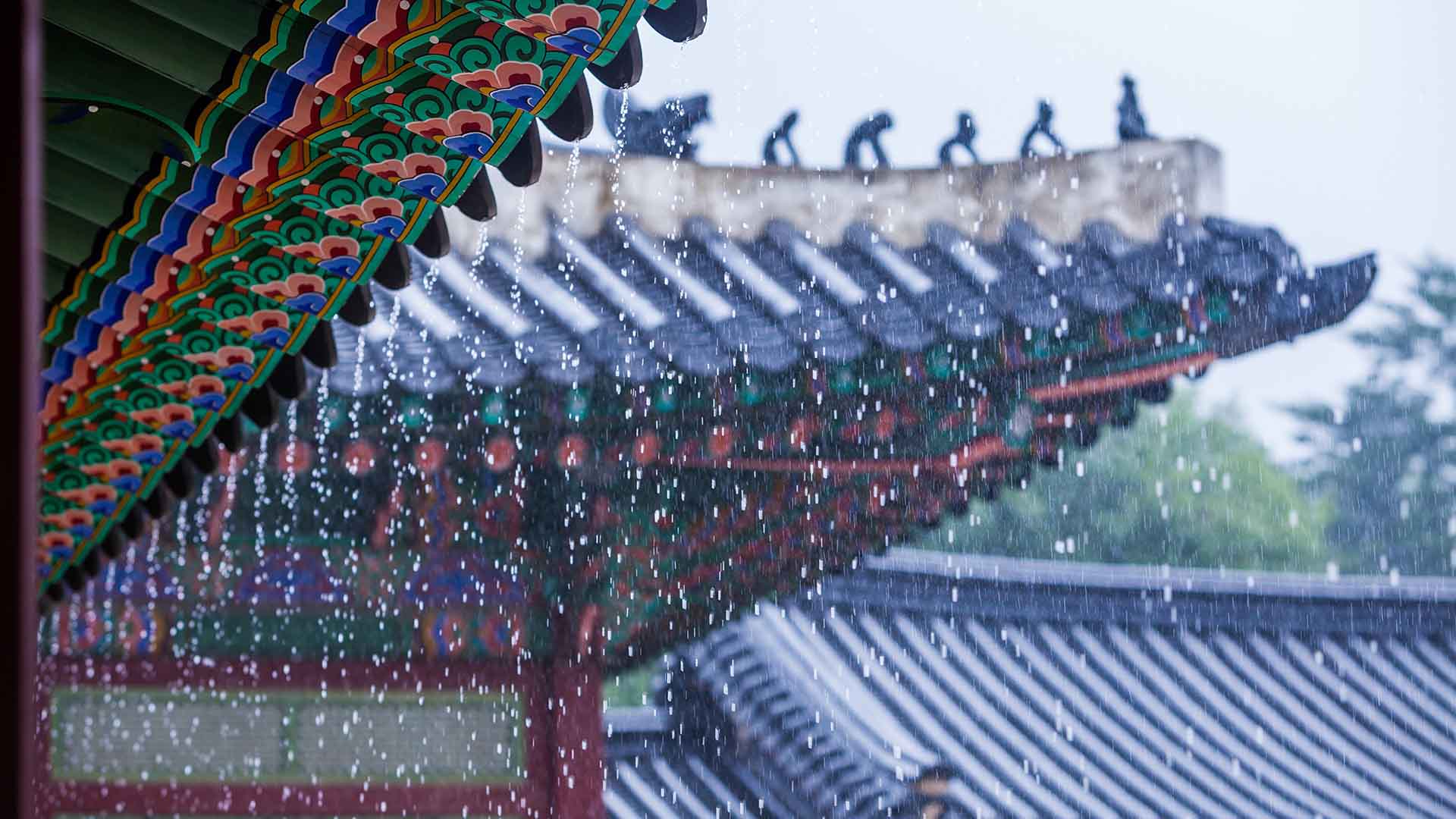 모레까지 비 내리다 그치기 반복..최대 30mm 강우량