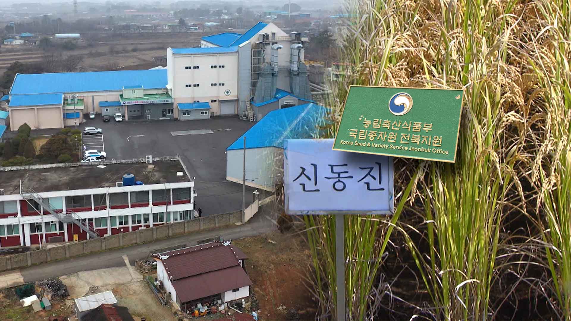 [취재수첩] 국립종자원 곰팡이 볍씨 사태가 소환한 ‘일방통행 농정’