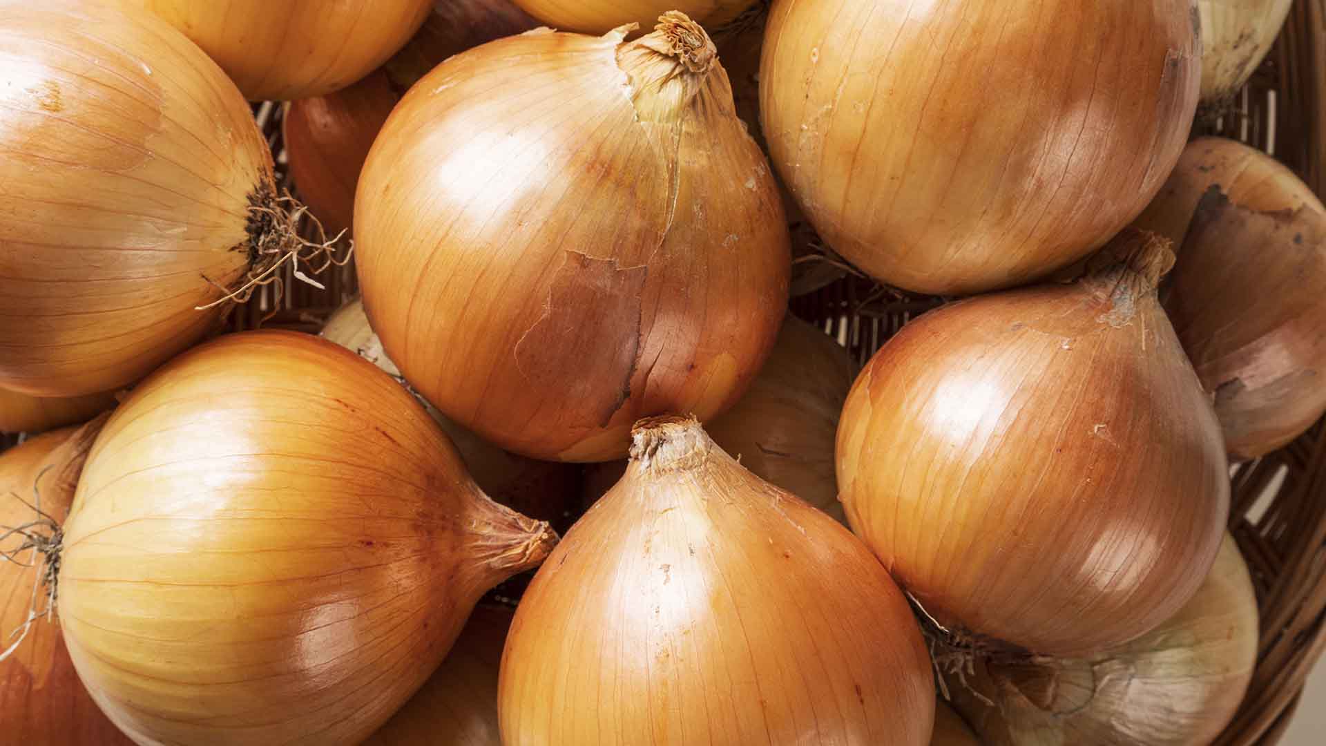 ‘양파 껍질’ 버리지 마세요.. 면역력 높이고 스트레스 낮춰