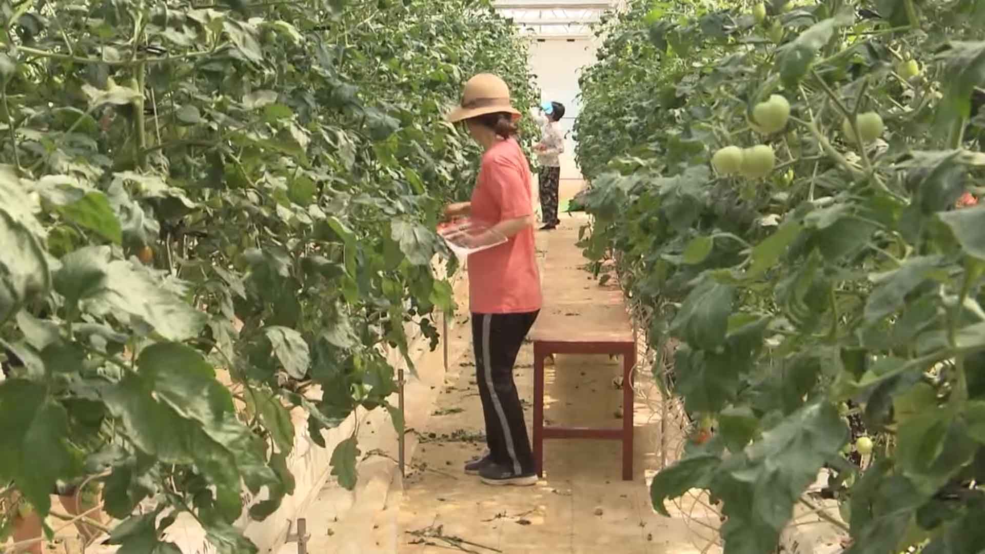 '가구당 연 60만 원'..농민공익수당 신청 접수