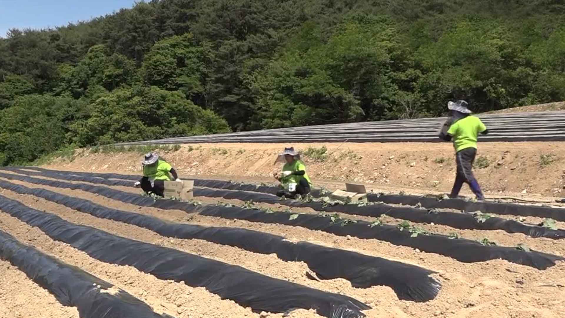 [글로컬 전북] 지역 소식 (순창·완주·정읍·임실)