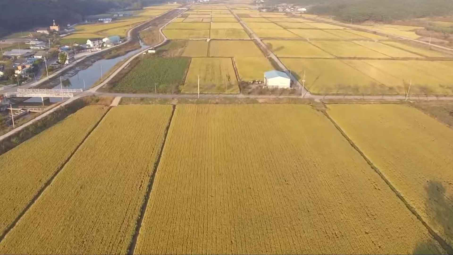 농가 46%는 경지 면적 0.5㏊ 미만