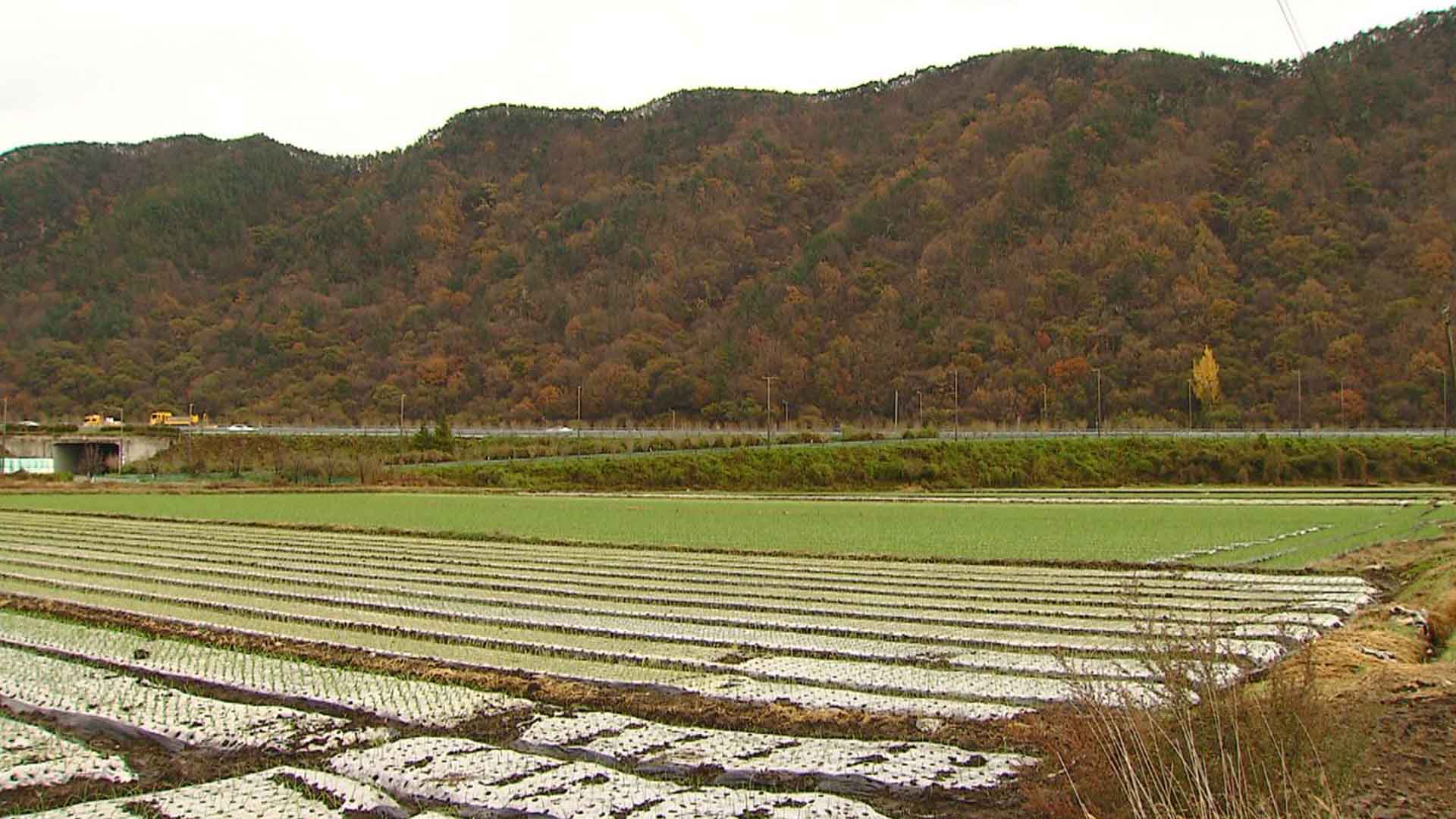 3ha 이하 자투리 농지, 농업진흥지역에서 해제